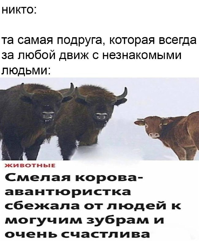 ������ ������������