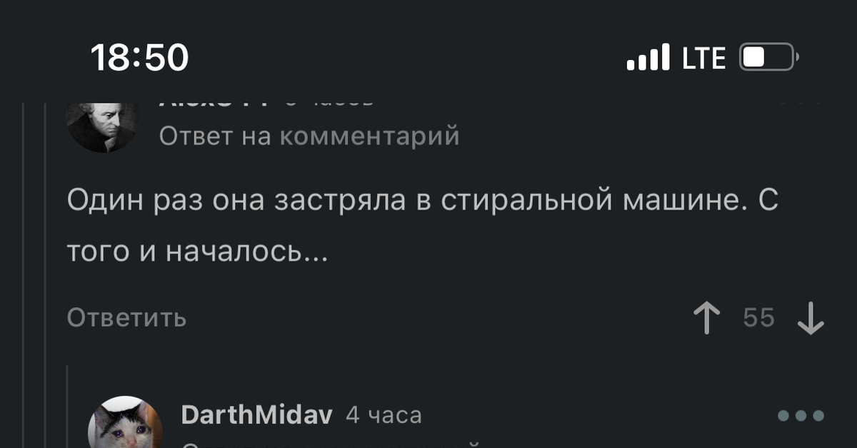 Брат я застряла в стиральной машине