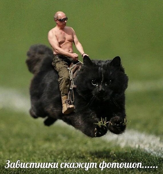 Мем | Пикабу