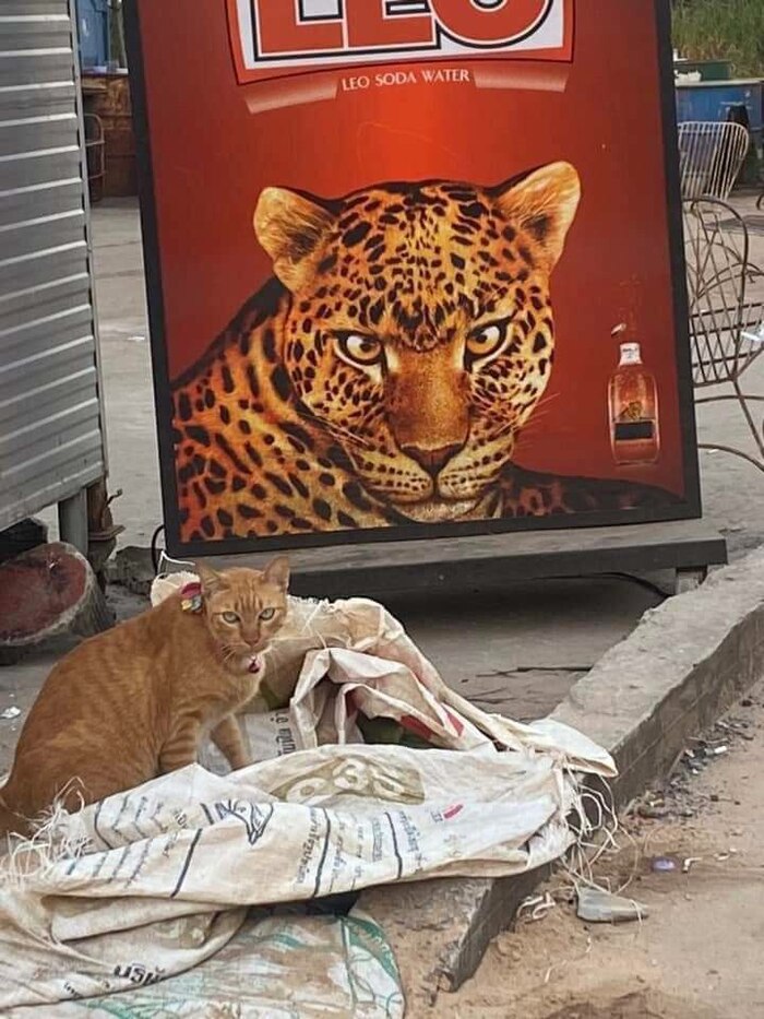 ��������� ������