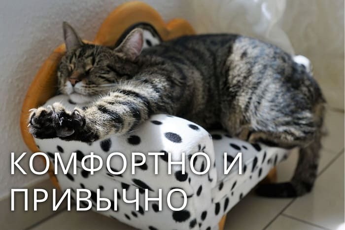 Иллюзия комфорта