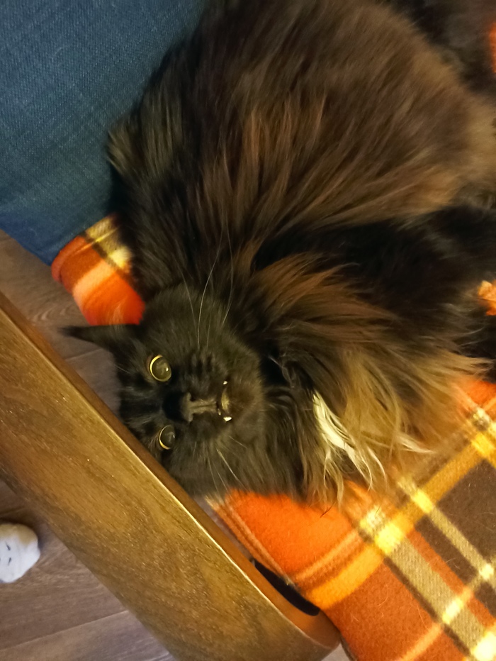 "����� ����� ������� ����������, �� ����� �������� ��� �� ���������" ���� �������