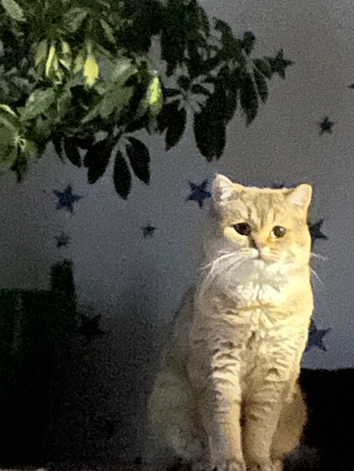       ) , , ,  , -, 