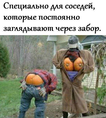 Соседям посвящается