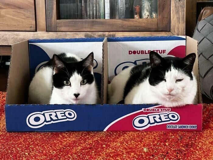   , 