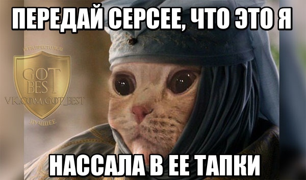 Что делать, если сильно люблю сводюкошку, а к людям такого не испытываю?