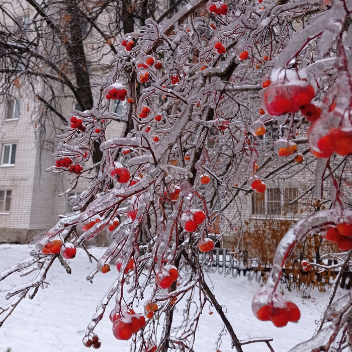 ������ �� �����