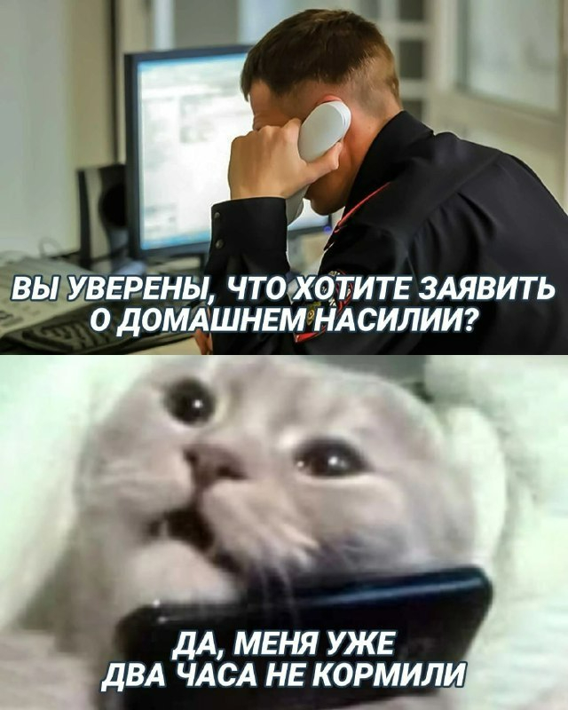   ,   , 