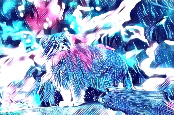 Всем цветных мануло-снов!