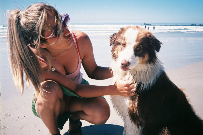 ������� ��������