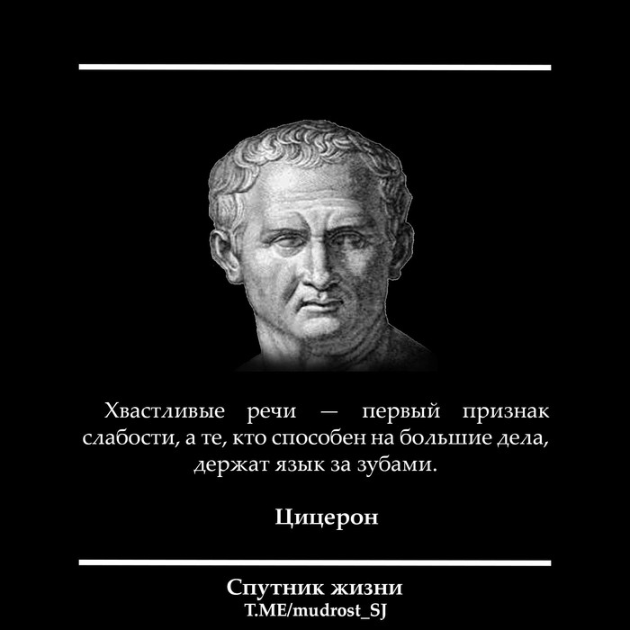 Цицерон: истории из жизни, советы, новости, юмор и картинки — Горячее,  страница 2 | Пикабу