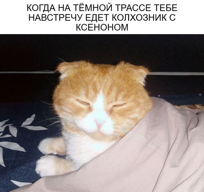       ... , , , ,   