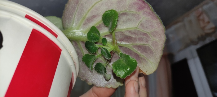 ������-�������