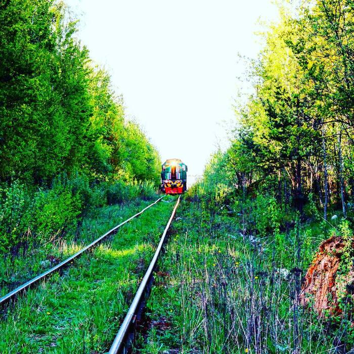 #53 � ����