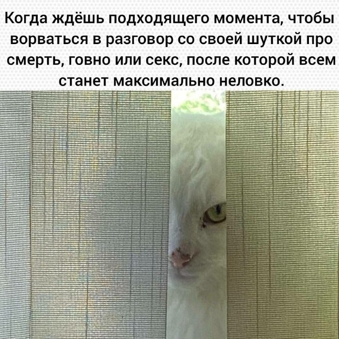   , ,   