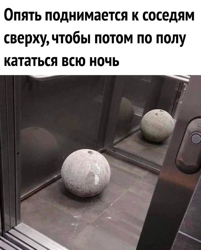 Соседи | Пикабу