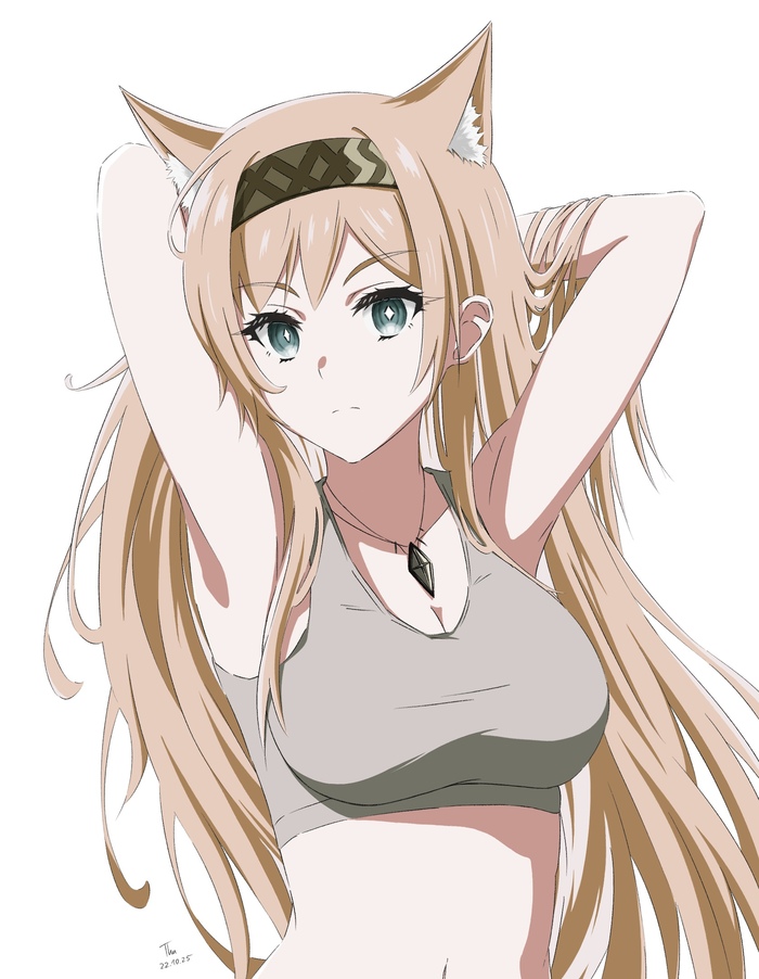 Arknights operators , Anime Art, Arknights, Blue archive, Silence (Arknights), W (Arknights), Texas (Arknights), Swire (Arknights), Podenco, Horn (Arknights), , , Animal Ears