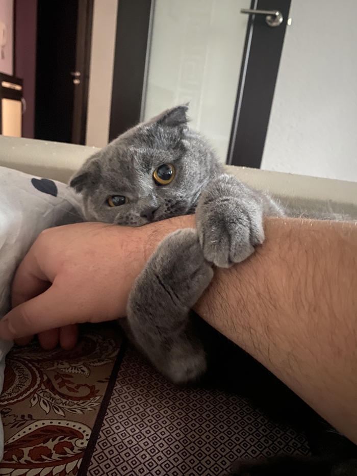 ����� �� ���� ������