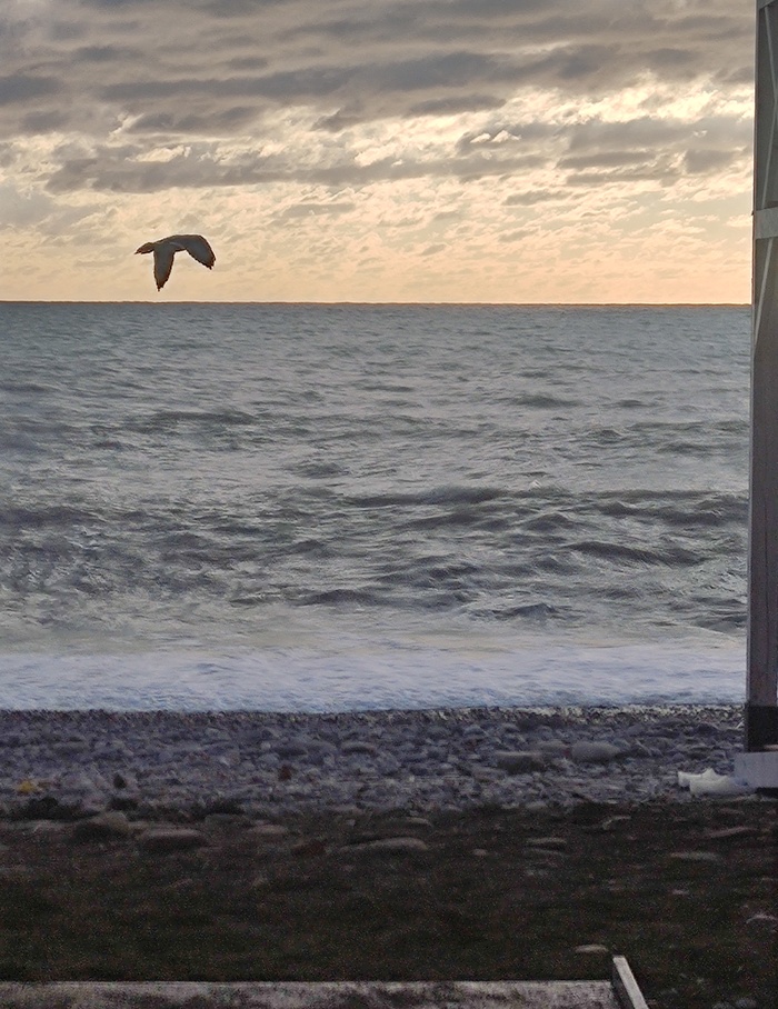 ��������� ���� �������� ����