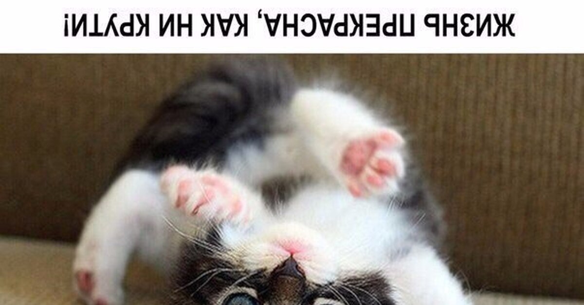 ...как не крути!!! | Пикабу