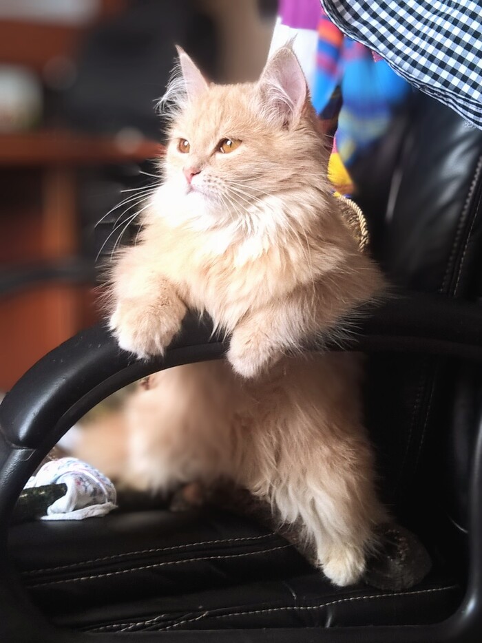   ,  , , 