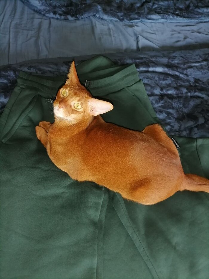 �� ����� ����� ���� ��������...