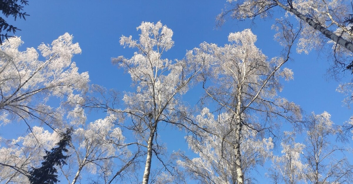 Небо декабря. Природа России в декабре. Месяц декабрь природа. Зимняя Благодать природа. Зимняя Фотоохота.