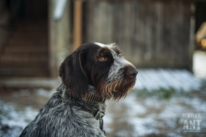  | Canon EOS 5D Mark I + - | 