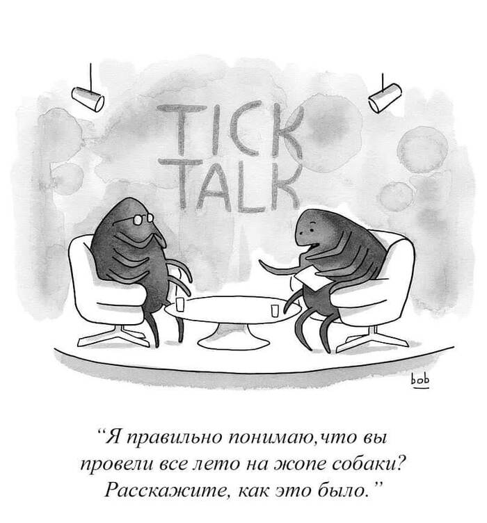 Время занимательных историй Комиксы, The New Yorker, Клещ
