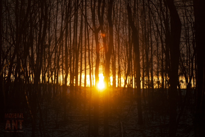  | Canon EOS 5D Mark I + -61/3- |     Canon, ,  , , , , , , , 