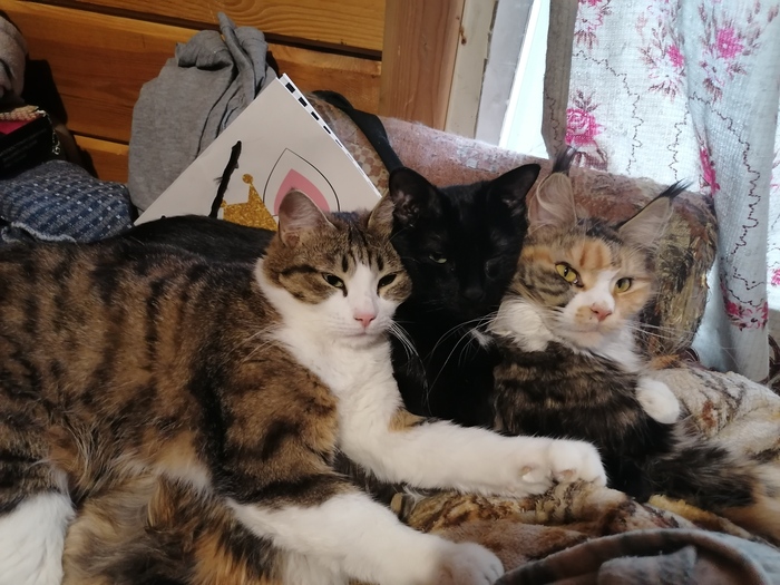 ������� - ��������� ������ - ��������� :)