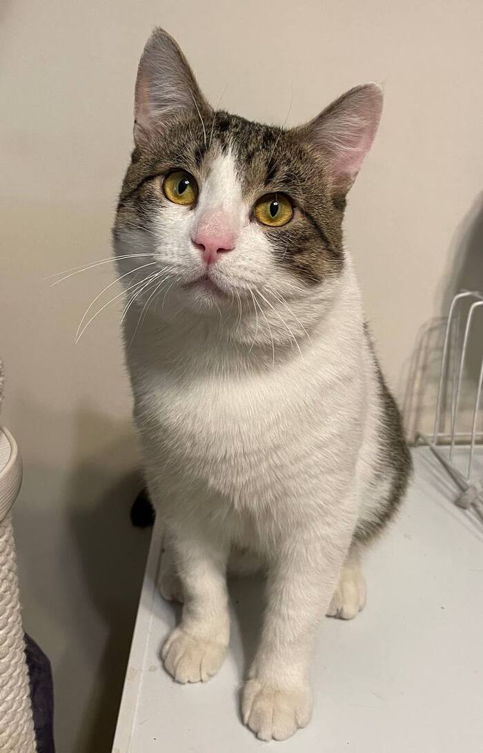 ��� ����� ���� ���� ���! �����-��������� ��� ��