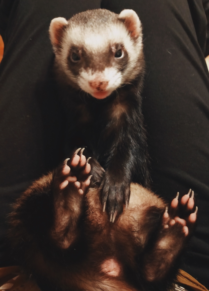 Oops! I did it again...