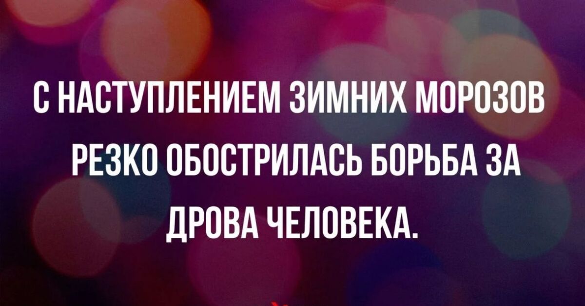 Я в дрова! | Пикабу