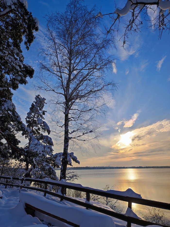 Удалось поймать зимнее солнышко