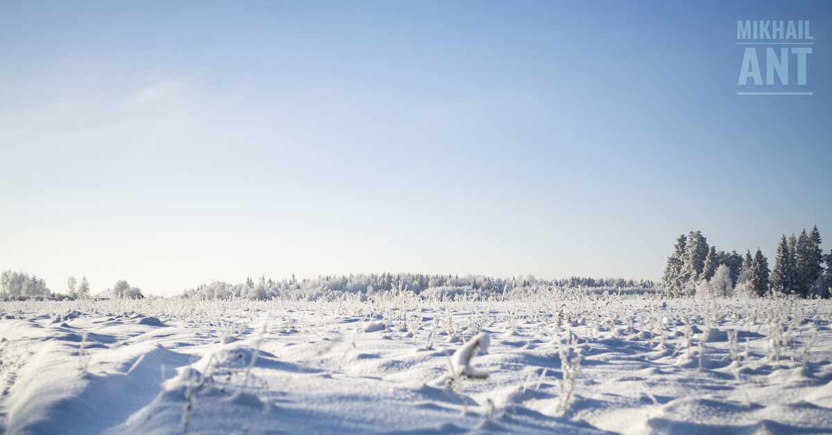 I m snowed. Тюльпанное Снежное поле. Морозный день и небо прояснилось.. Снежное поле горизонтальный. Декабрь снег поле лес сосны.