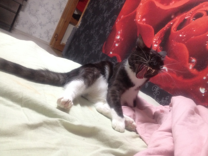 ������� � �����������