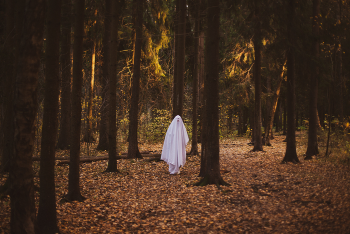 Спасибо всем: заблудшим случайно и вошедшим умышленно.) Рада видеть Вас! Фотография, Красота, Начинающий фотограф, Фотограф, Canon, Уличная фотография, Длиннопост