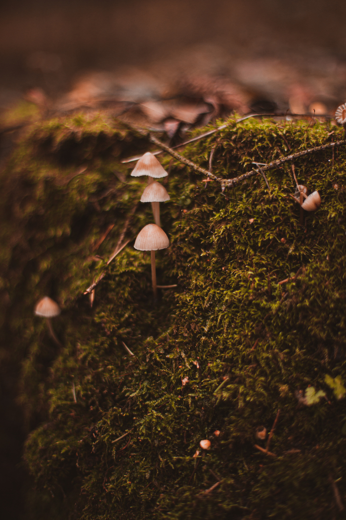 Спасибо всем: заблудшим случайно и вошедшим умышленно.) Рада видеть Вас! Фотография, Красота, Начинающий фотограф, Фотограф, Canon, Уличная фотография, Длиннопост