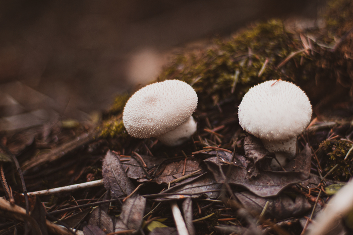 Спасибо всем: заблудшим случайно и вошедшим умышленно.) Рада видеть Вас! Фотография, Красота, Начинающий фотограф, Фотограф, Canon, Уличная фотография, Длиннопост