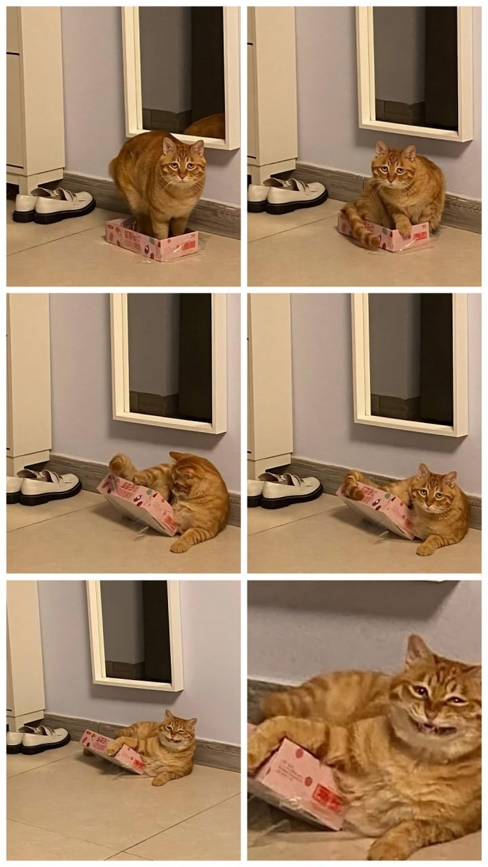        , , , 