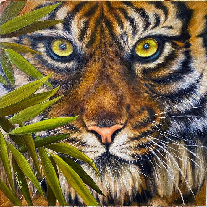 ������� ������