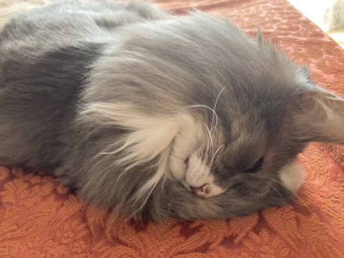 ����������� - ���� �������!