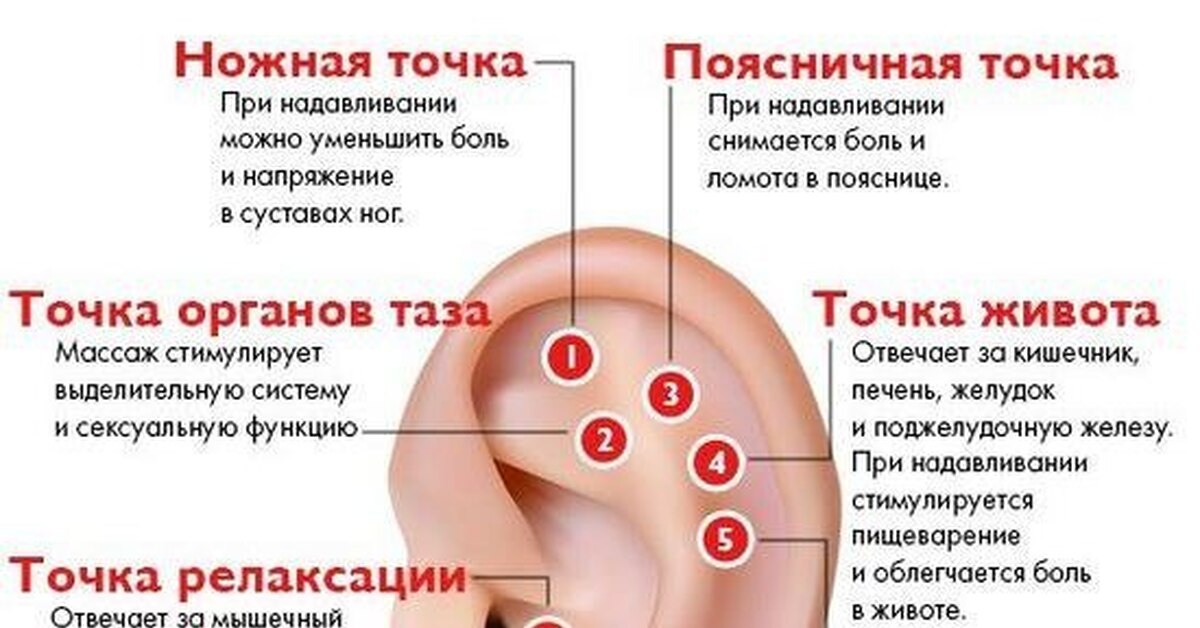 Массаж ушей — залог здоровья всего тела Пикабу