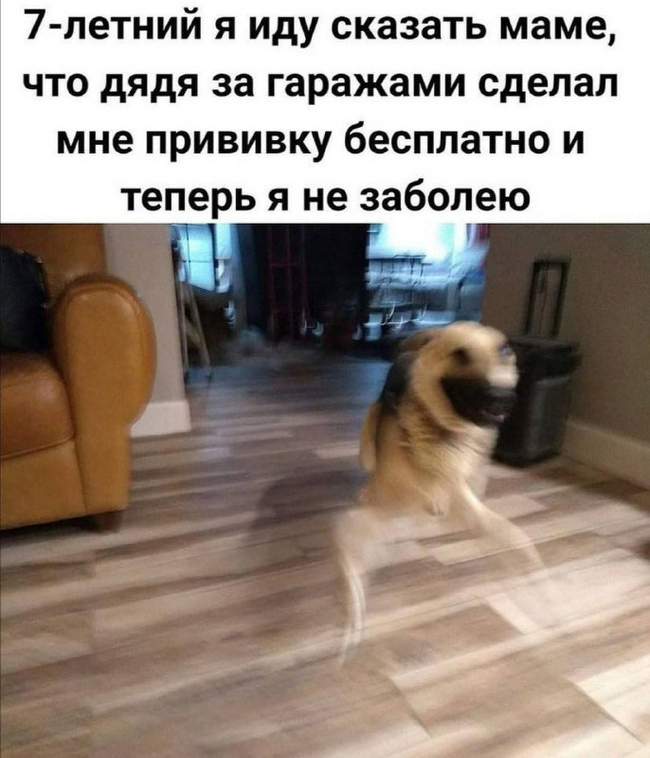 Прививка | Пикабу