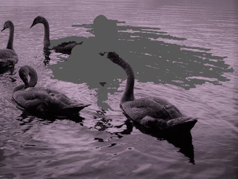 ���� �� ��������