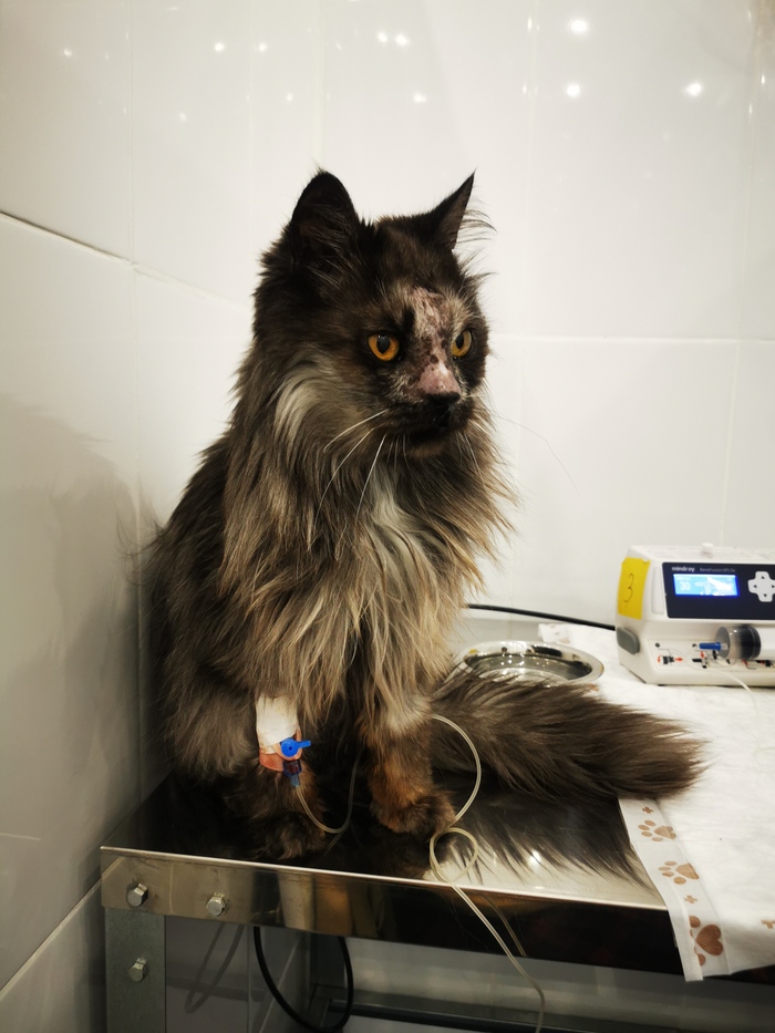 ����� �� ���� ���������� ��������, ���� ���� �������