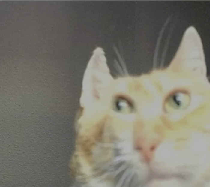 �� ����� ������ "� ������?" � ������ ��������� ���� ���������