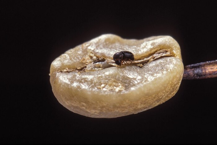 ��������� � ��������: ��� ��� �������������?