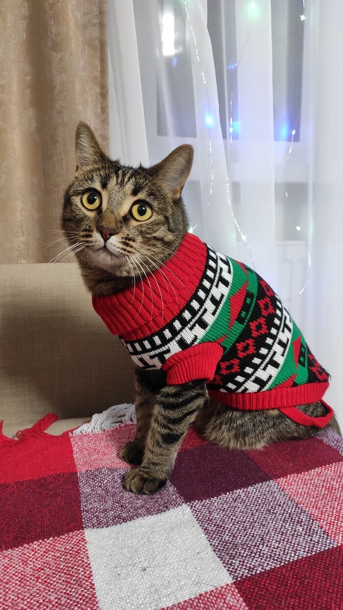 � ����������� ����� �����!